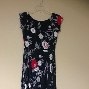 Ann Taylor Loft XXSP fit and flare dress
